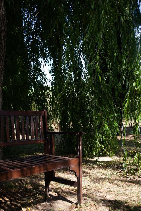 Casa Vacanze Casalsole Βίντσι Εξωτερικό φωτογραφία